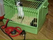 Віталік Талько фотография #46 (источник - https://vk.com/id93295017)