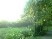 Дмитро Сіренко фотография #24 (источник - https://vk.com/id13407309)