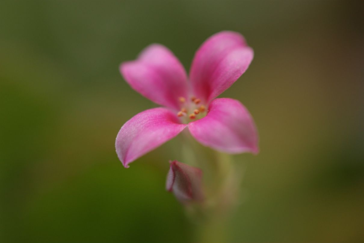 Фёдор Сумкин фотография #47