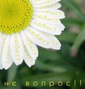 Єлизавета Павлий фотография #19 (источник - https://vk.com/id79203848)