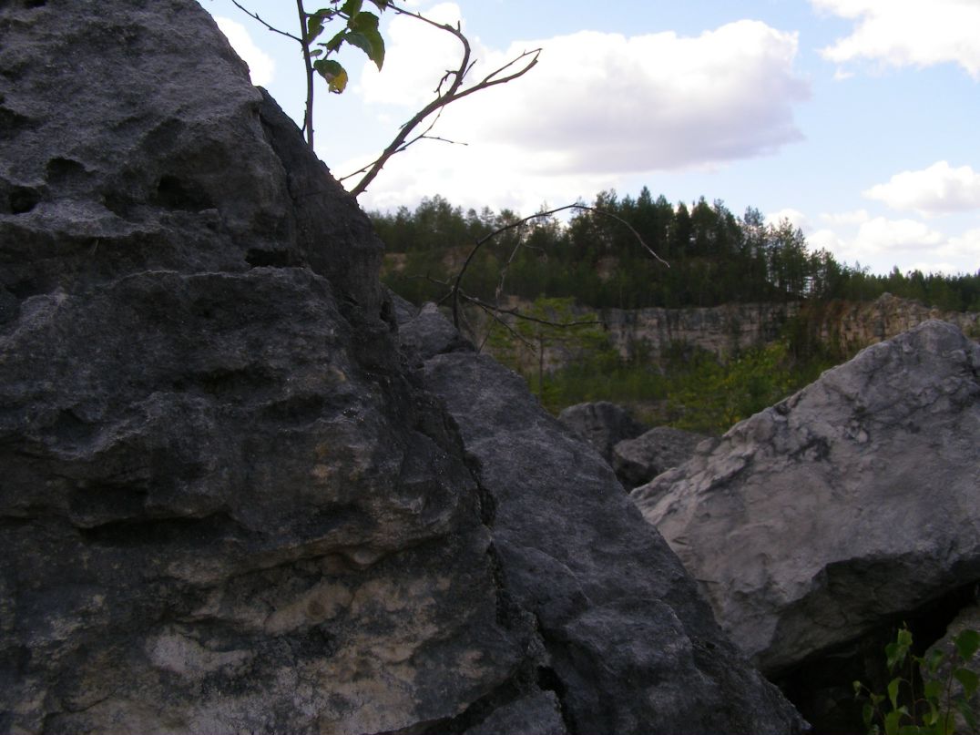 Владимир Плотников фотография #25