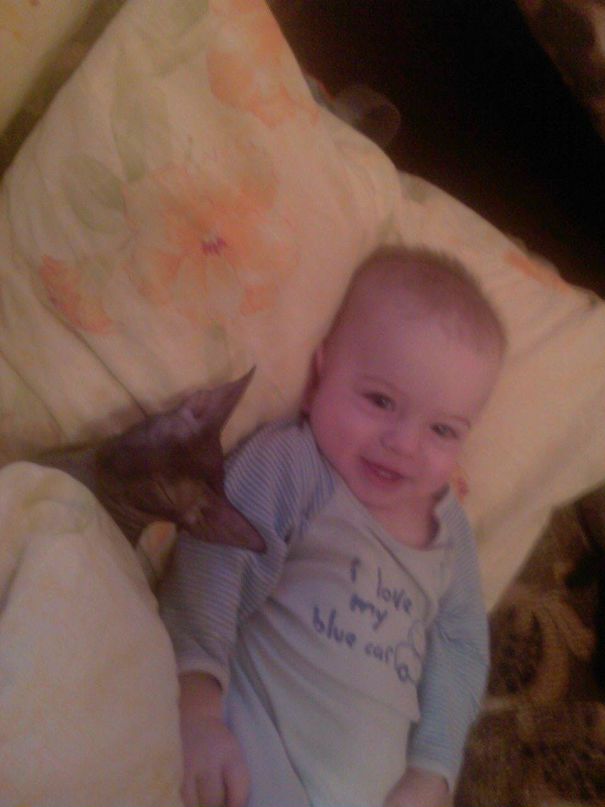 Ольга Титова фотография #48