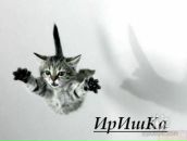 Фотография Петровой Ирины