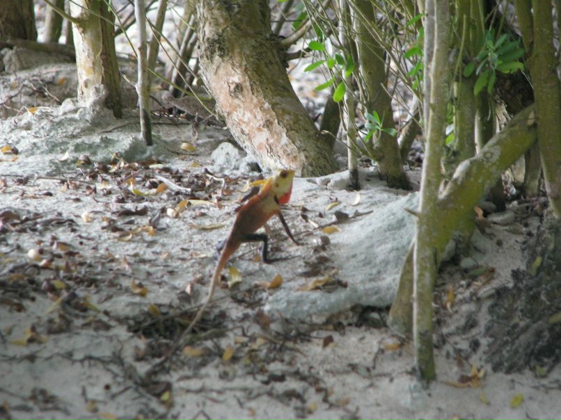 Софья К фотография #46