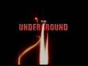 Фотография Гребнева Максима