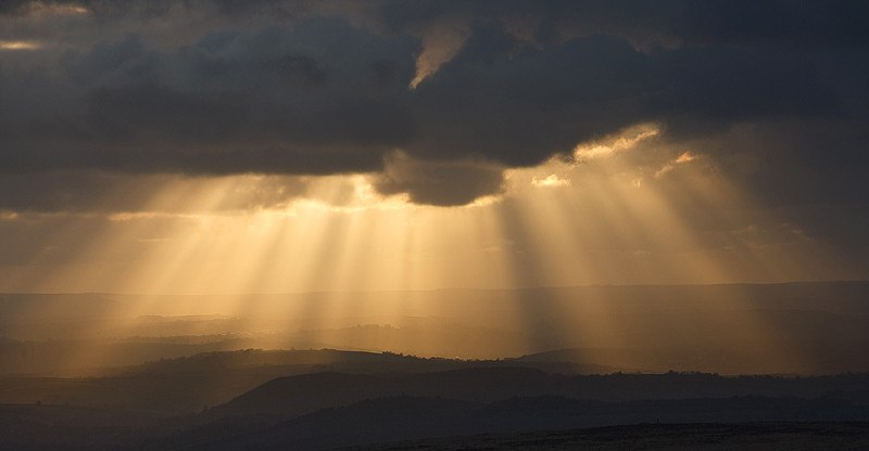 Николай Сергеев фотография #28
