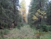 Сергей Репьёв фотография #27 (источник - https://vk.com/id4484013)