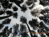 Фотография Бордовской Анечки