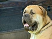 Фотография Мельниковой Елены